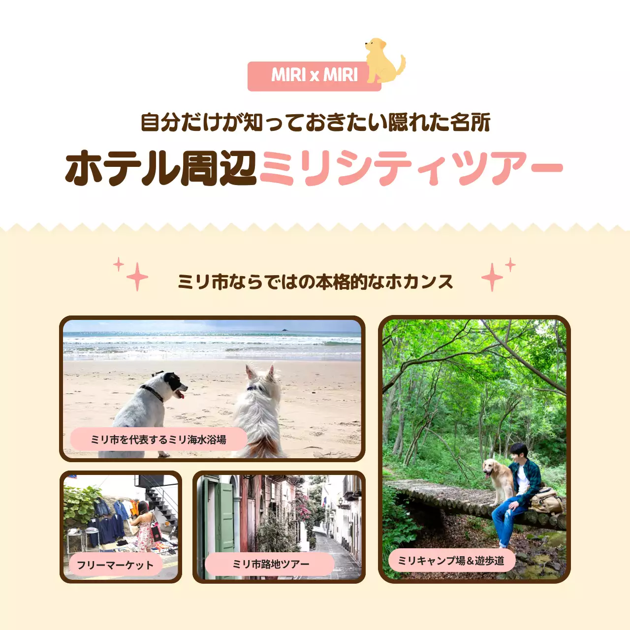 ベージュ かわいい ペット ポスター Instagram カルーセル