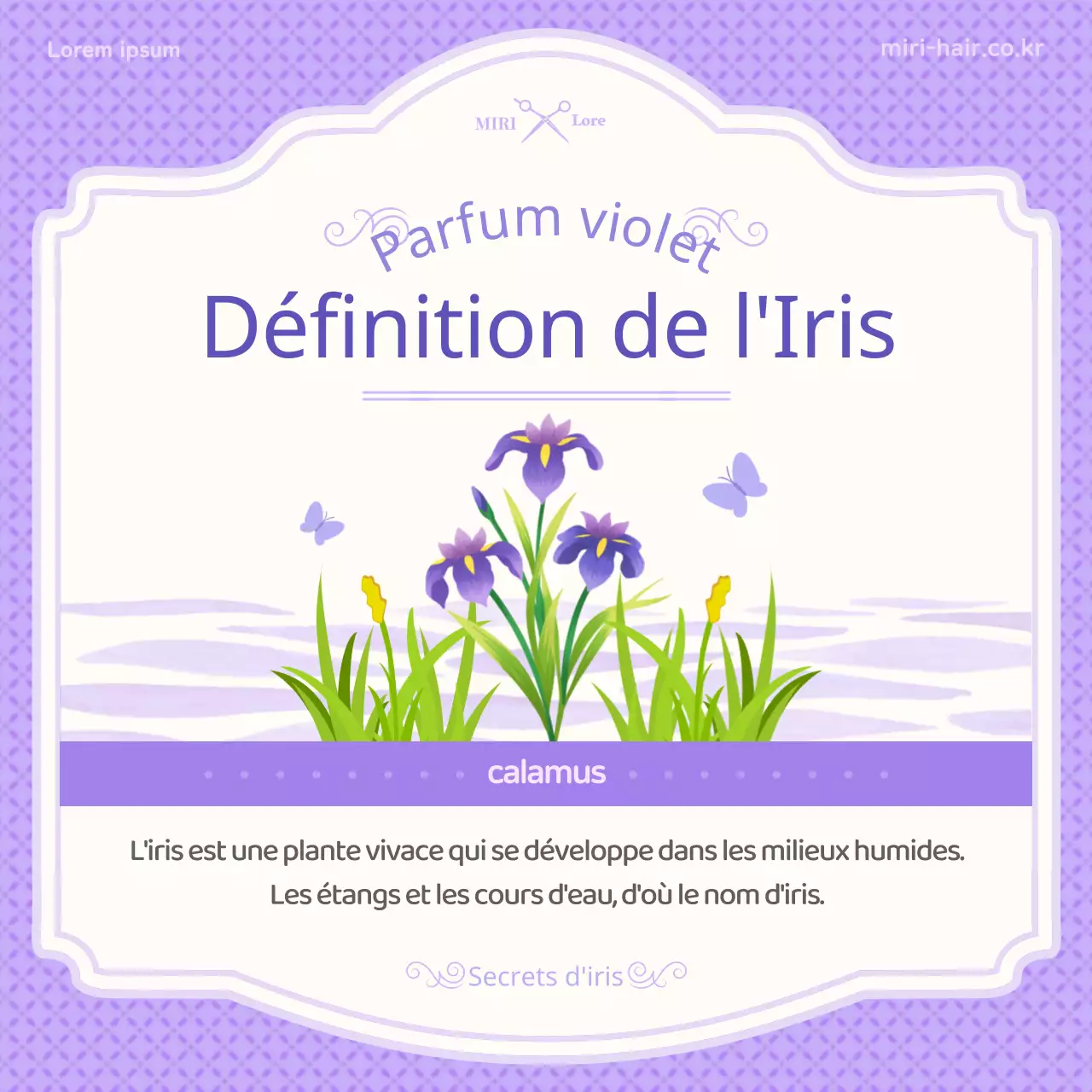 Présentation du concept d'illustration en violet des informations sur le dan-o et l'iris