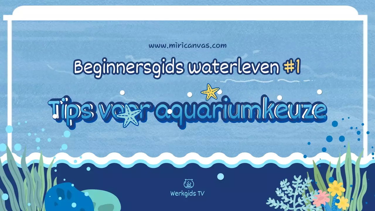YouTube-miniatuur van een schattig, rond aquarium in lichtblauw en blauw.
