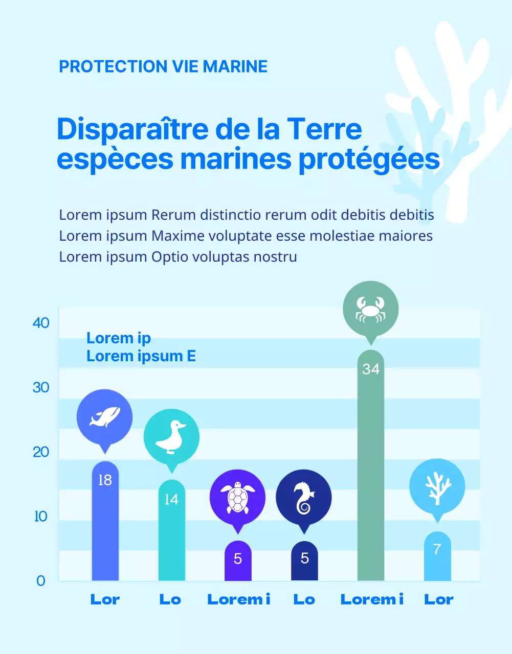 Financement de la conservation de la tortue caouanne bleue et jaune, une créature des récifs coralliens menacée d'extinction.