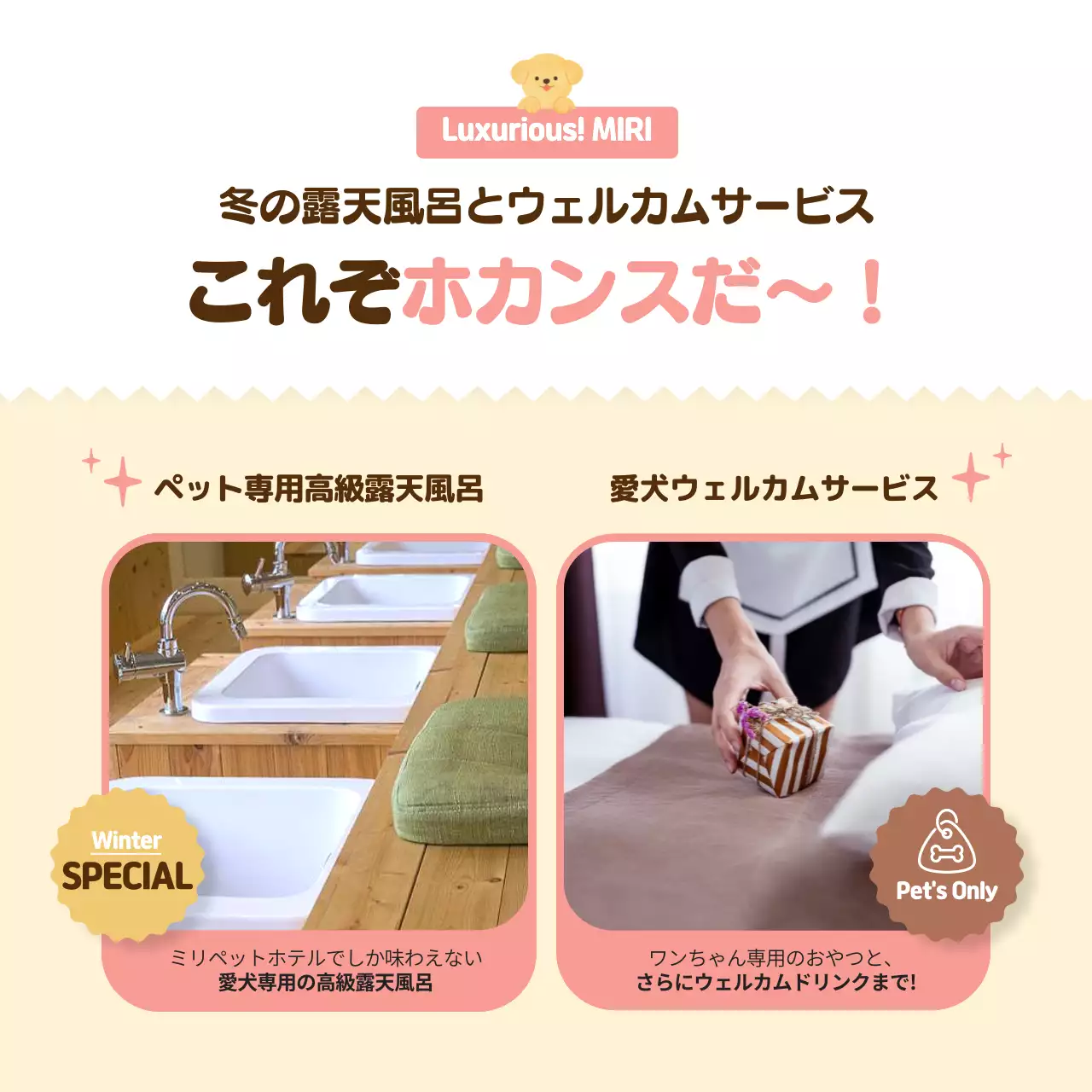 ベージュ かわいい ペット ポスター Instagram カルーセル