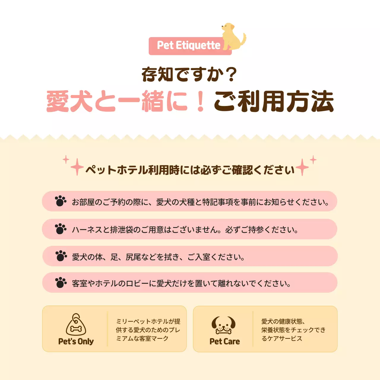 ベージュ かわいい ペット ポスター Instagram カルーセル