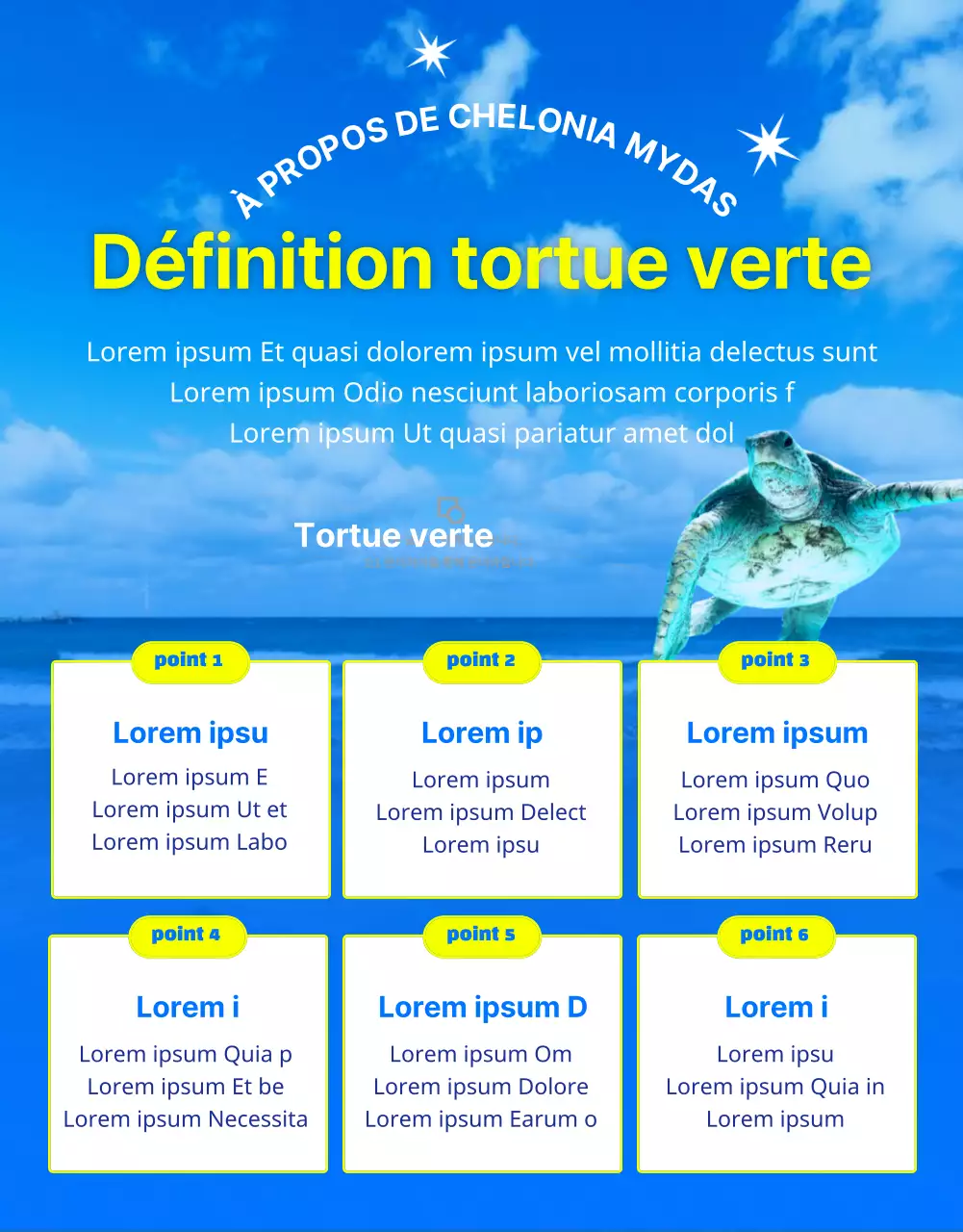 Financement de la conservation de la tortue caouanne bleue et jaune, une créature des récifs coralliens menacée d'extinction.