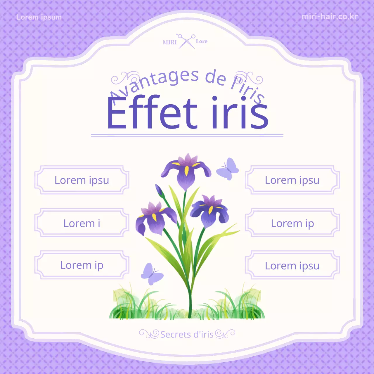 Présentation du concept d'illustration en violet des informations sur le dan-o et l'iris
