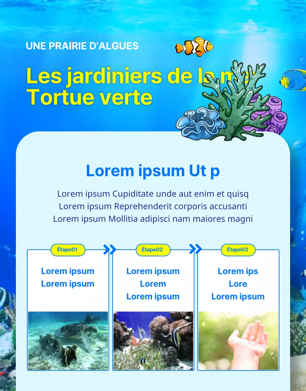 Financement de la conservation de la tortue caouanne bleue et jaune, une créature des récifs coralliens menacée d'extinction.
