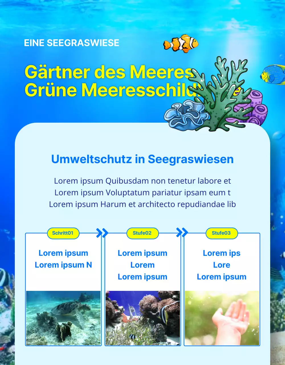 Finanzierung des Schutzes der blauen und gelben Unechten Karettschildkröte, einer vom Aussterben bedrohten Rifftierart.