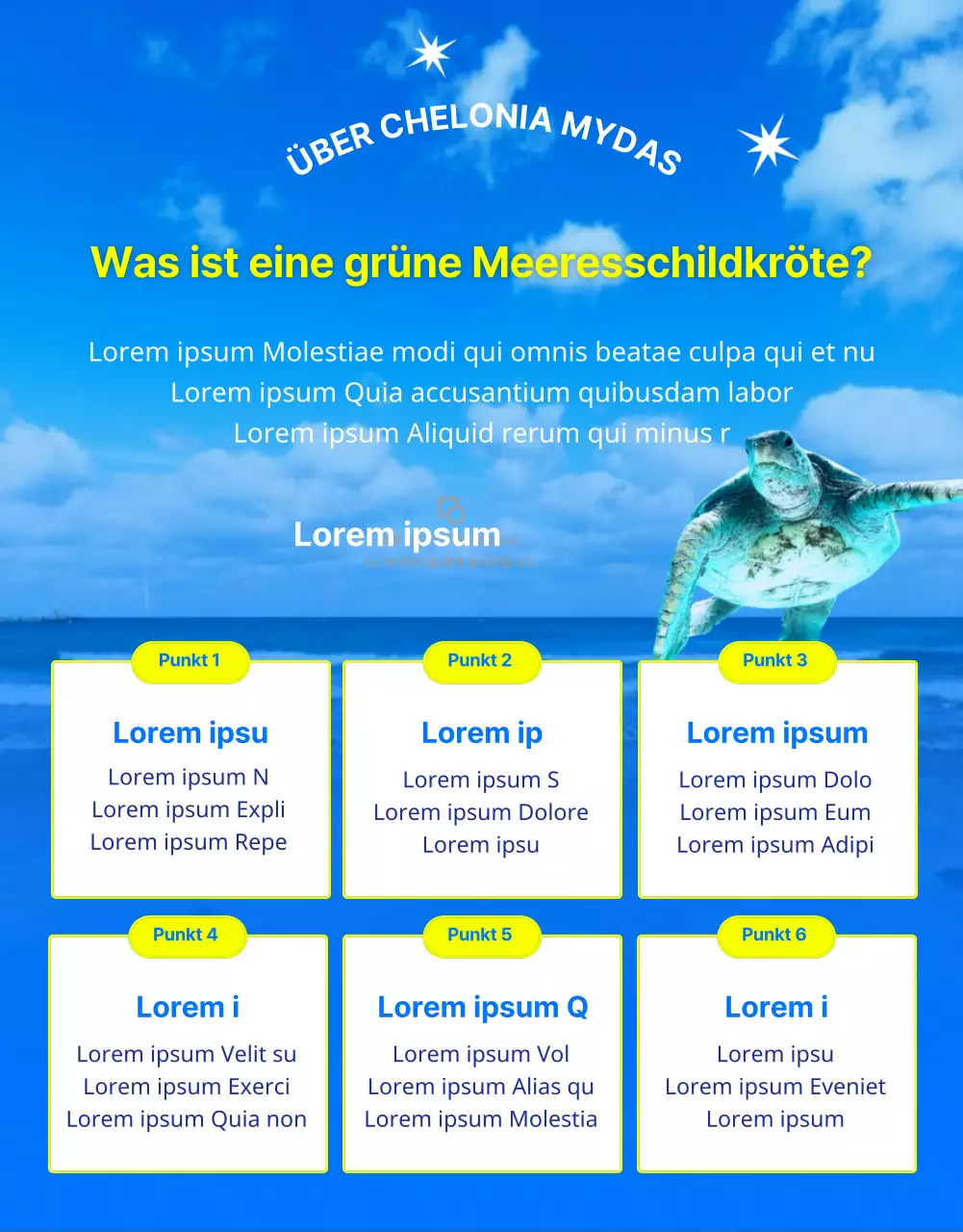 Finanzierung des Schutzes der blauen und gelben Unechten Karettschildkröte, einer vom Aussterben bedrohten Rifftierart.