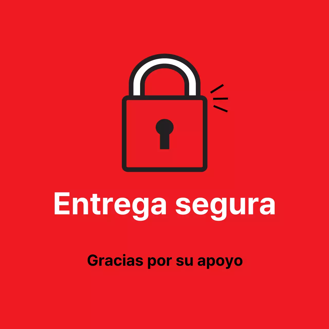 45212_Entrega segura