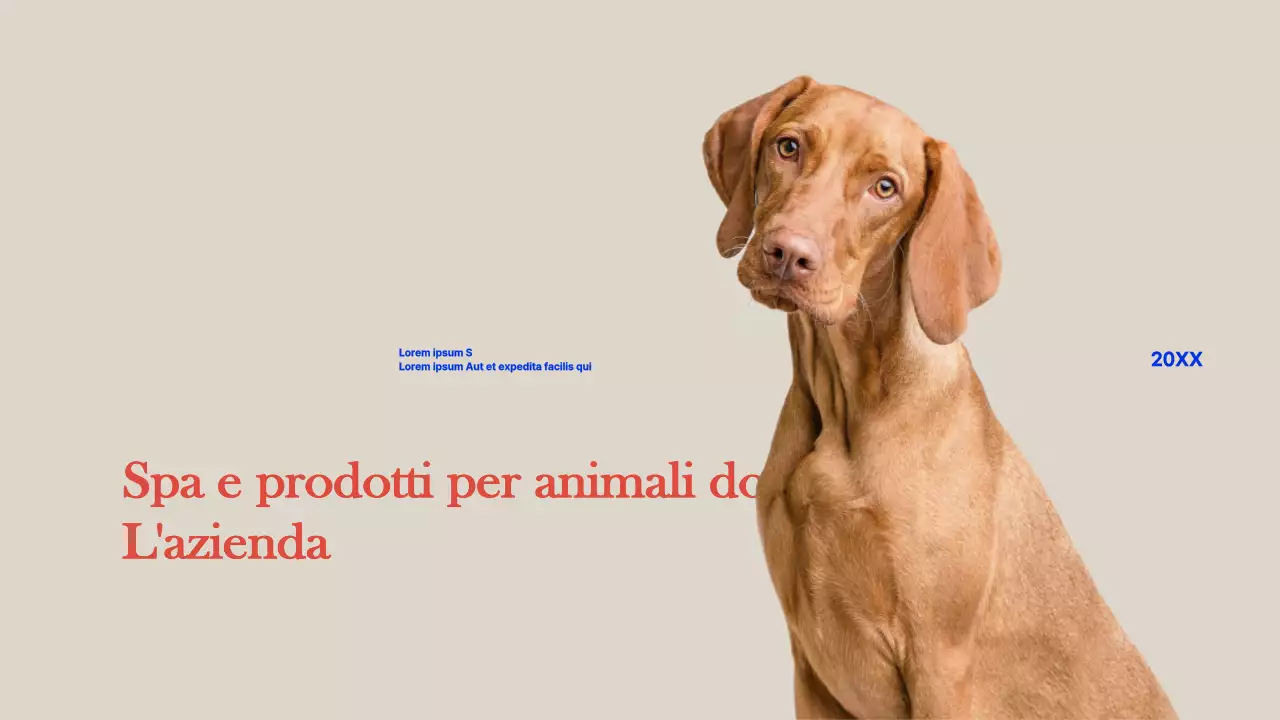 Profilo aziendale_Pet