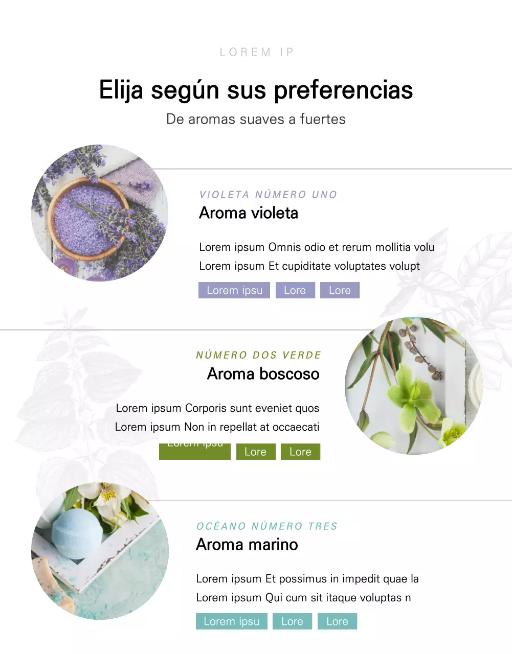 Página detallada de las constantes de fibra