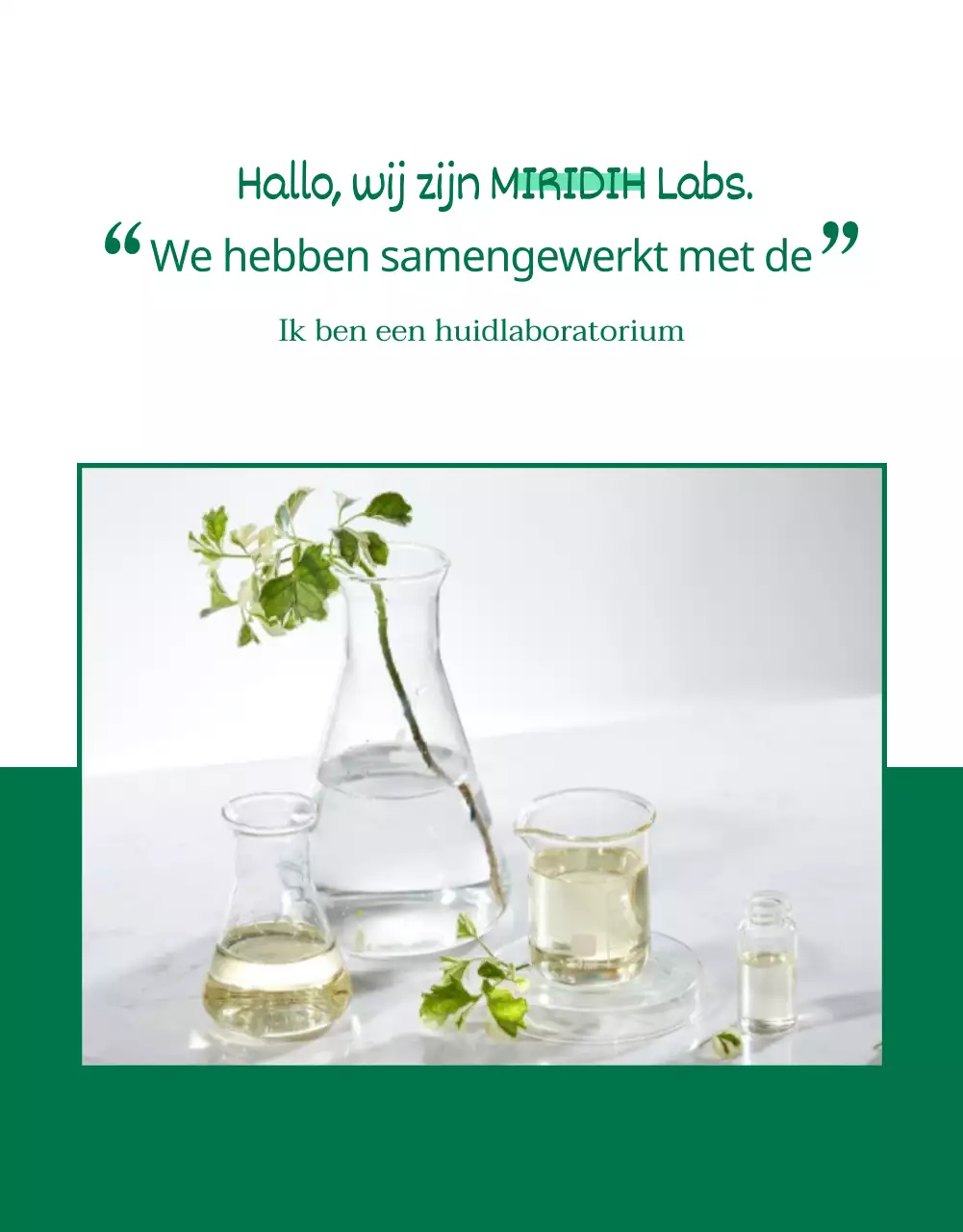 Wadiz Detail Page_Beauty