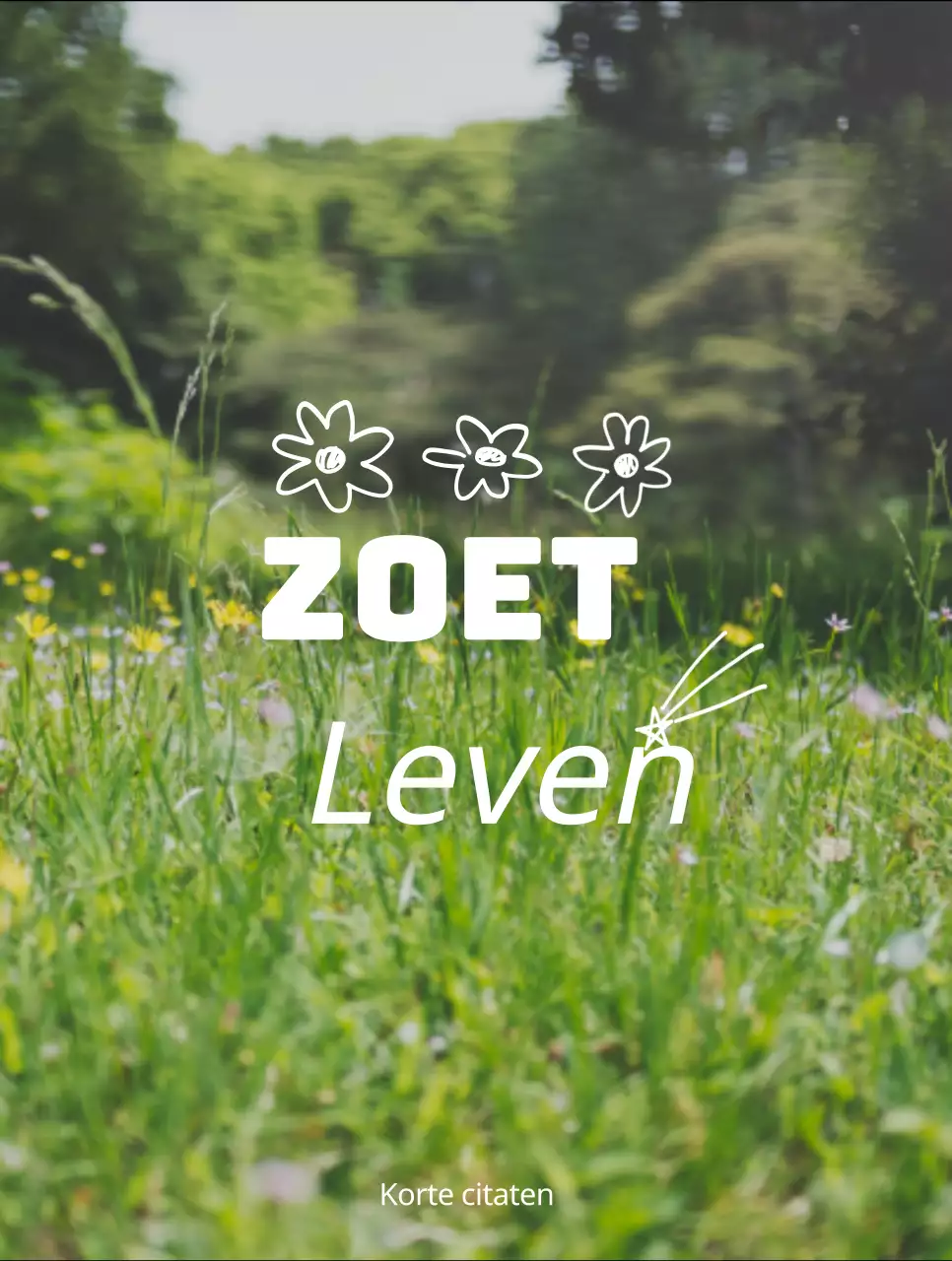 Merchandise met emotionele geel-witte landschapsfoto's en emotionele tekst