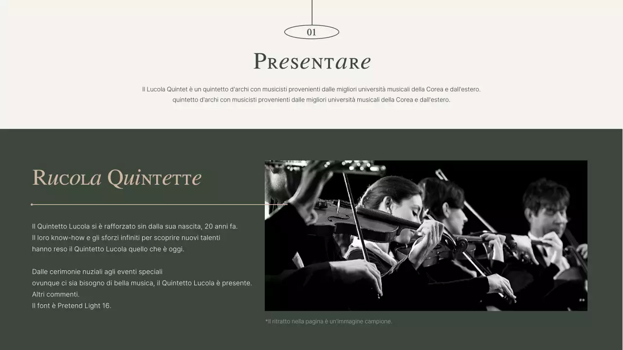 Portafoglio del gruppo Performance in kaki