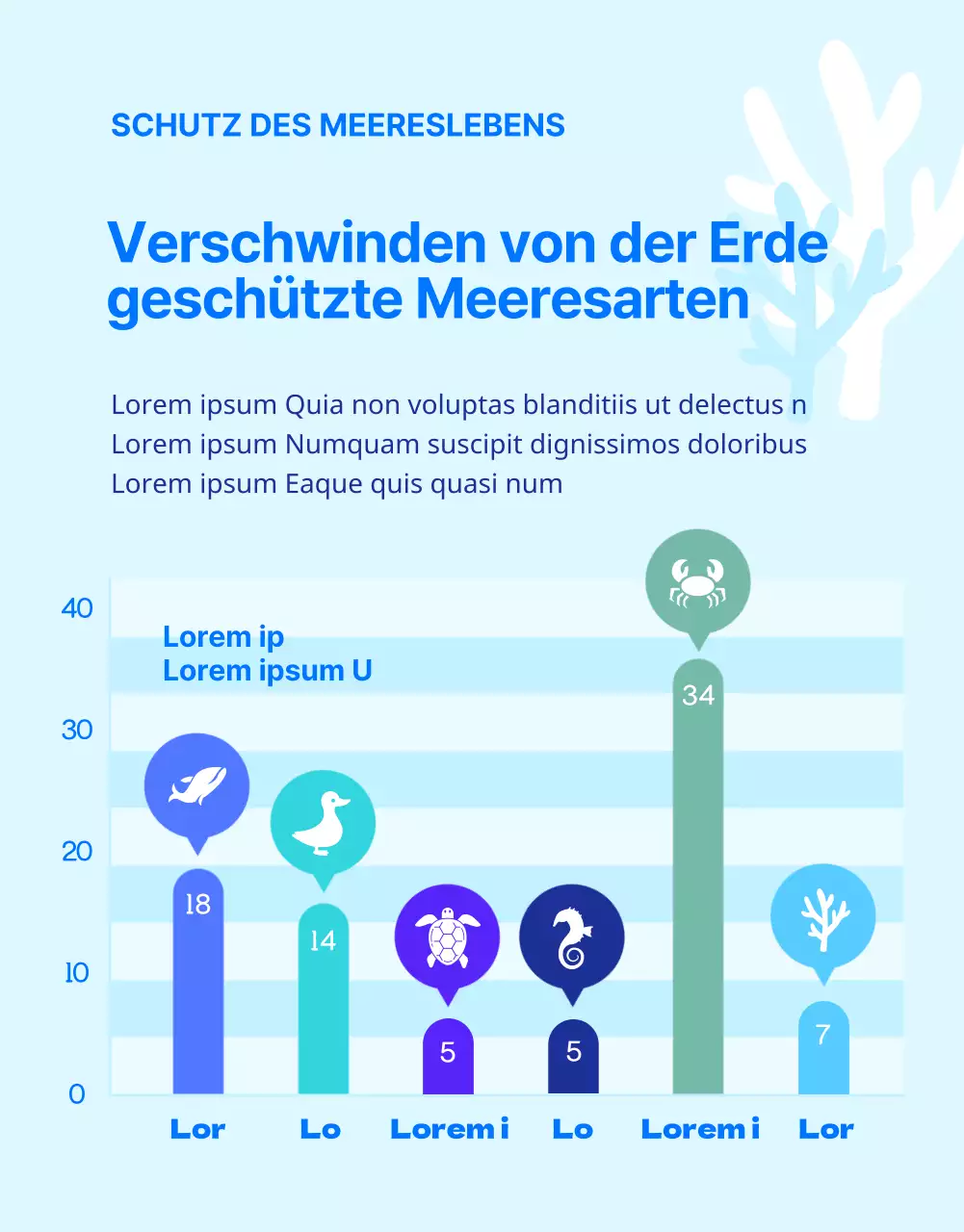 Finanzierung des Schutzes der blauen und gelben Unechten Karettschildkröte, einer vom Aussterben bedrohten Rifftierart.