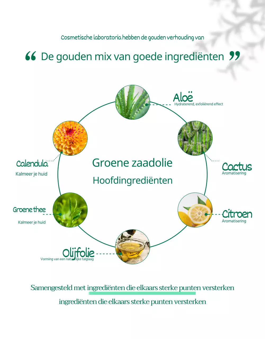 Wadiz Detail Page_Beauty