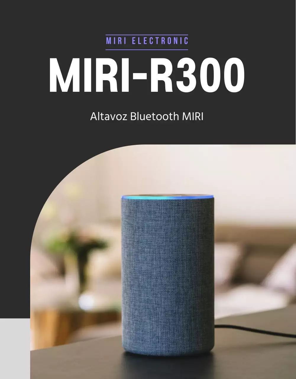 Páginas limpias y detalladas en negro y gris