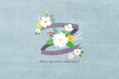 Merci de votre attention !