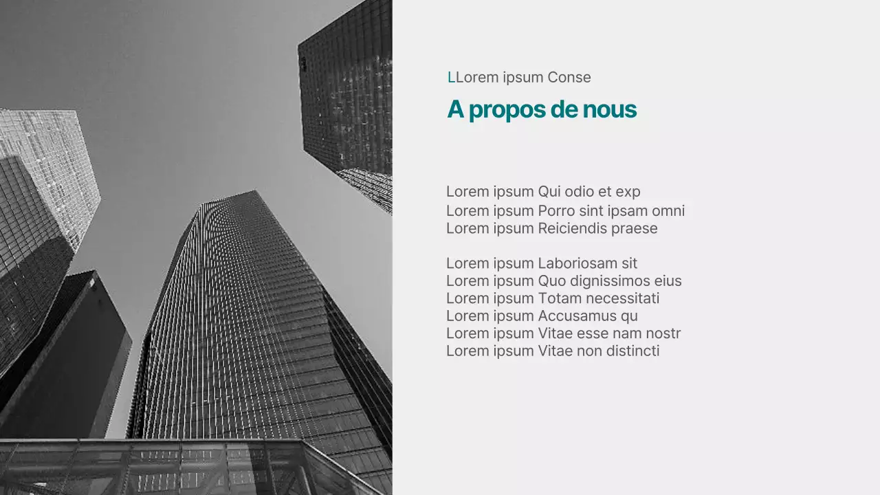 Profil de l'entreprise