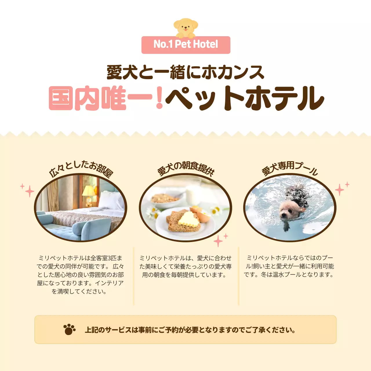 ベージュ かわいい ペット ポスター Instagram カルーセル