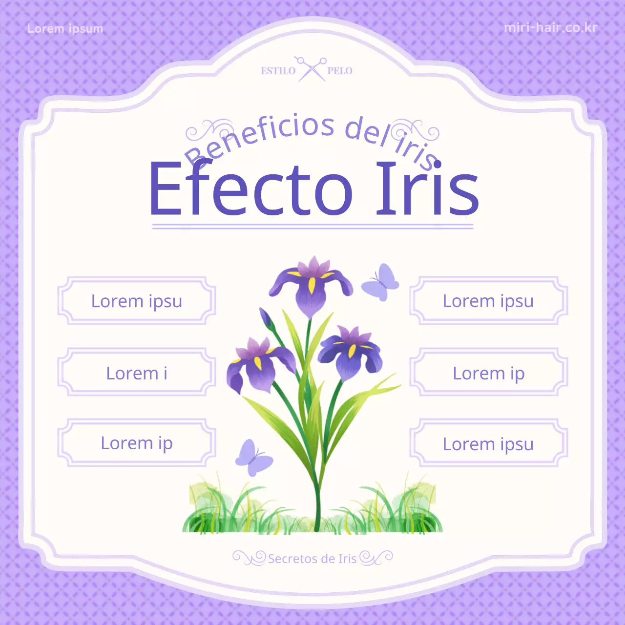 Presentación del concepto de ilustración púrpura de tan'o e información sobre el iris