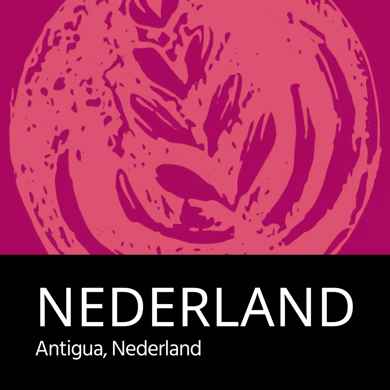 Kleurrijk Vintage Geïllustreerd Boon tot Kop Koffie-etiket Guatemala (Vierkant)