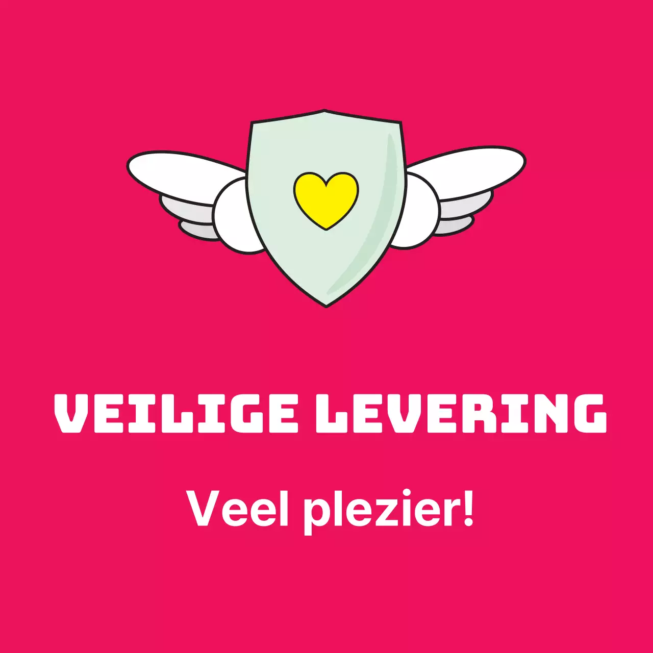 45226/Veiligde levering