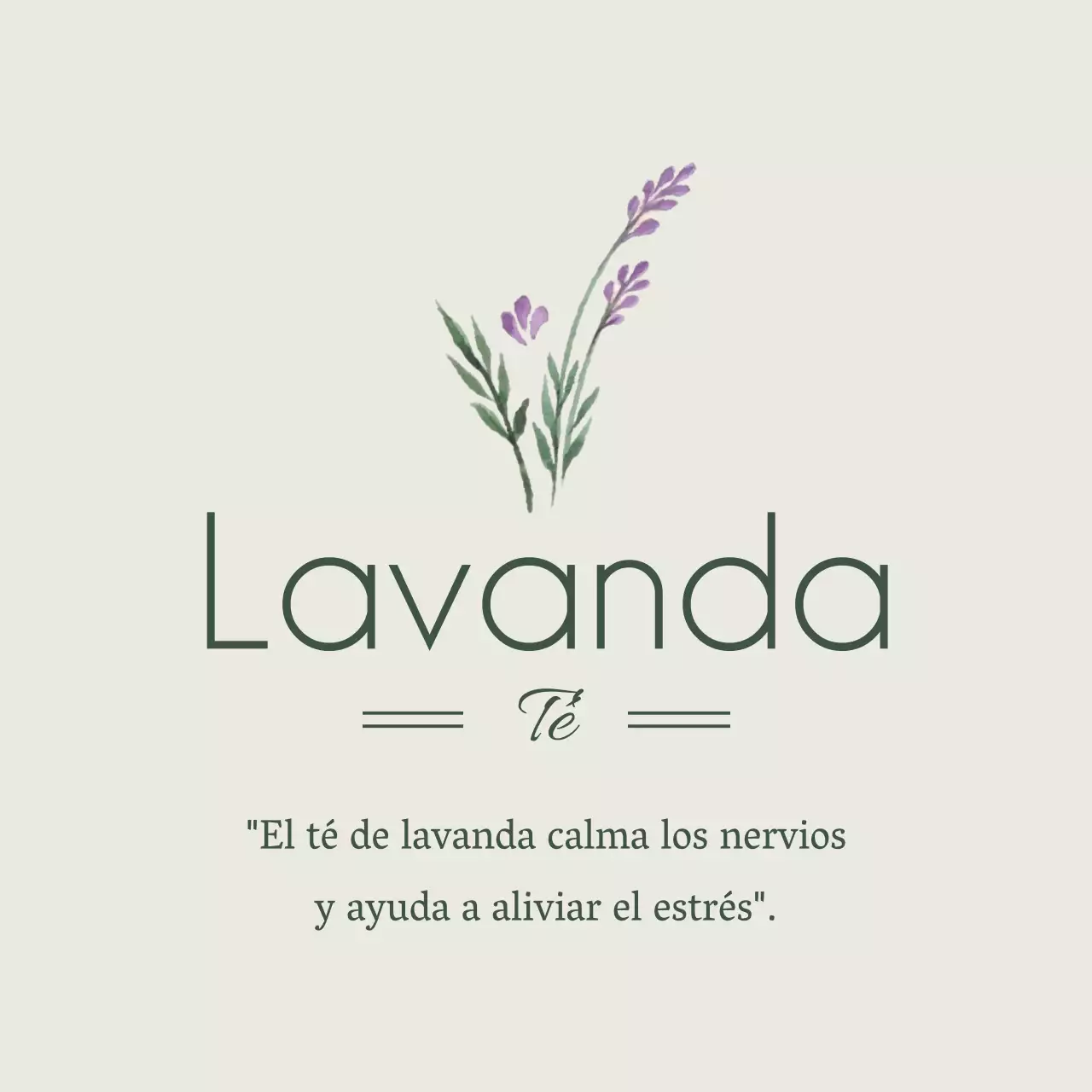 Lavanda