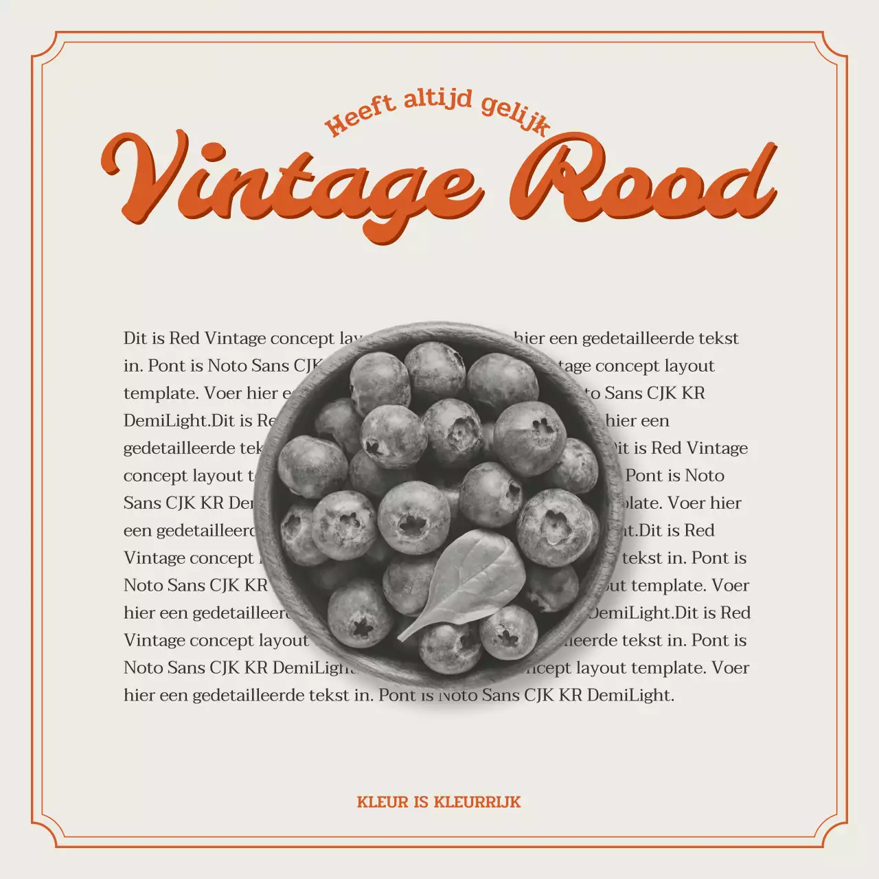 Bundel met veelkleurige, op vintage geïnspireerde lay-outs