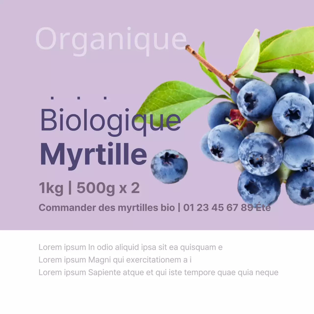 Myrtille