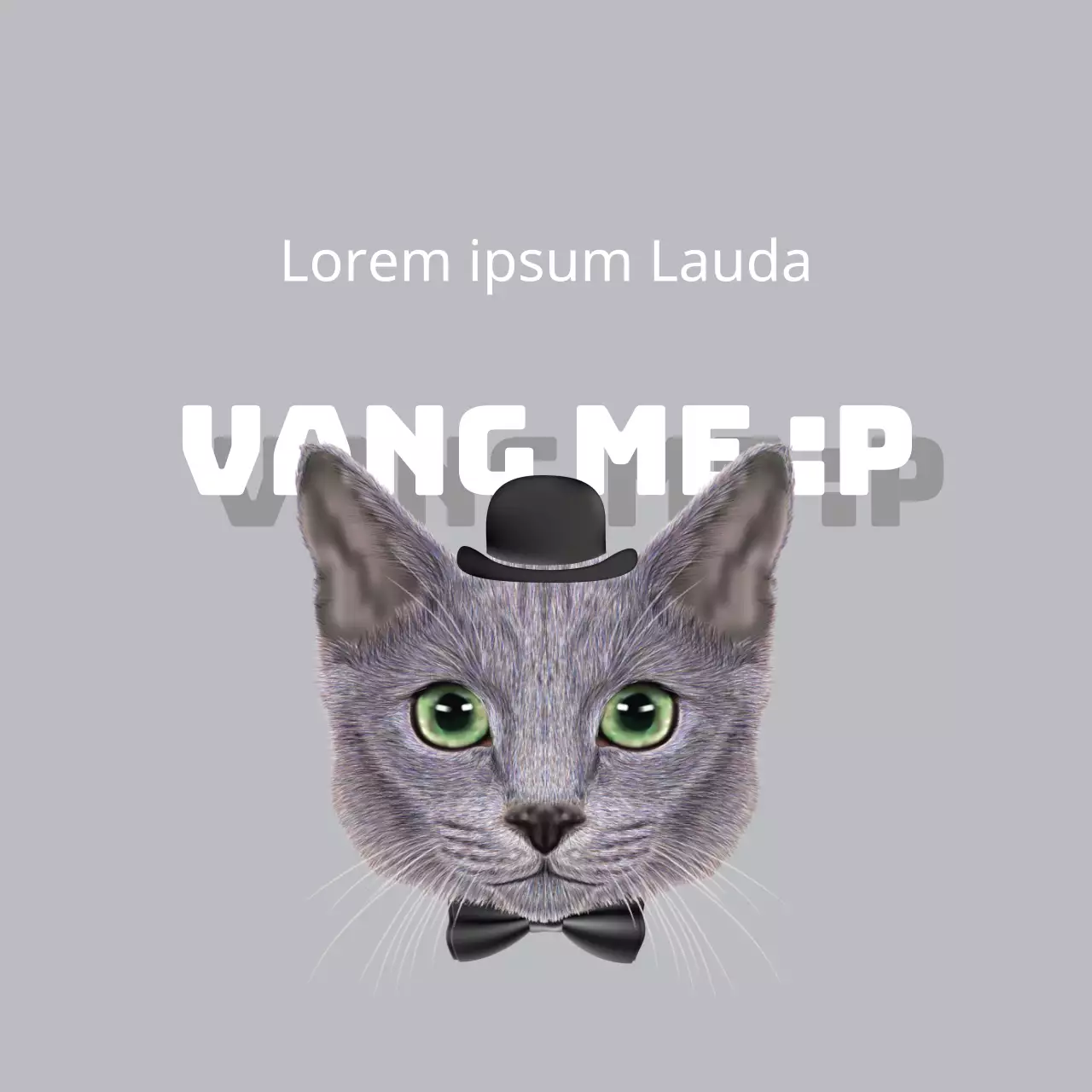 Premium biologische hondensnacks