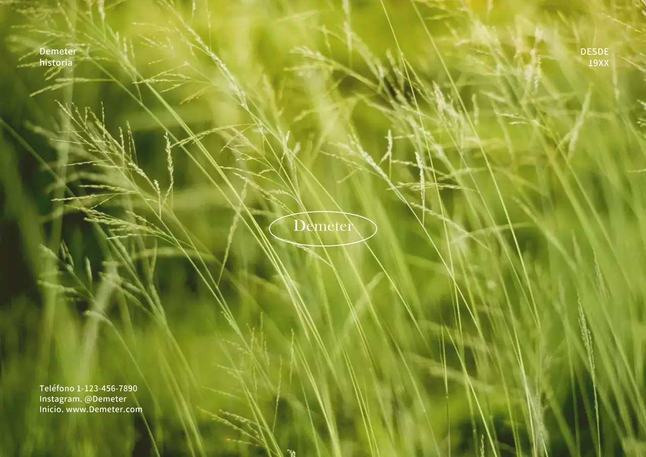 Tarjeta con fondo fotográfico sencilloTarjeta postal