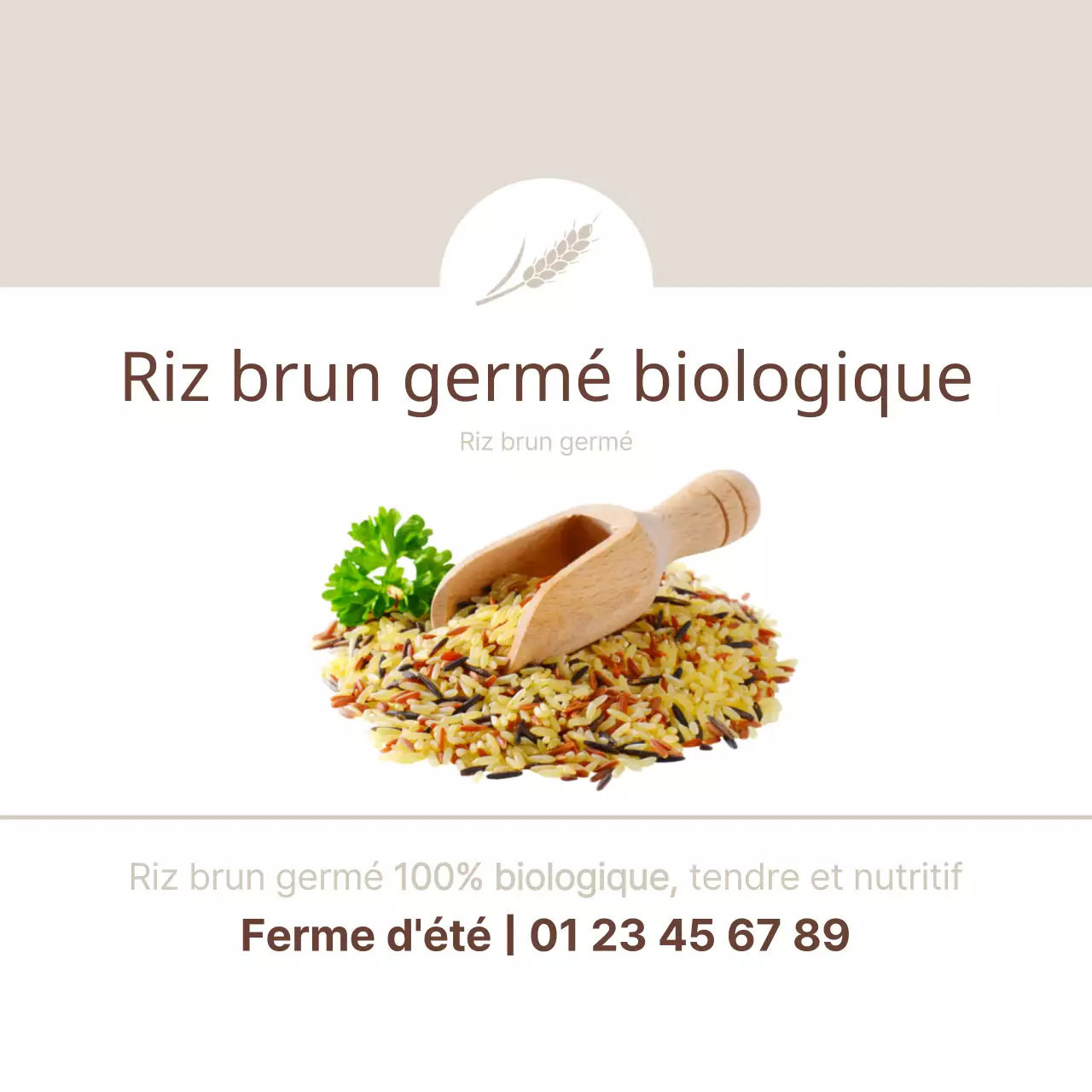 Riz brun germé
