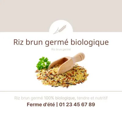 Riz brun germé