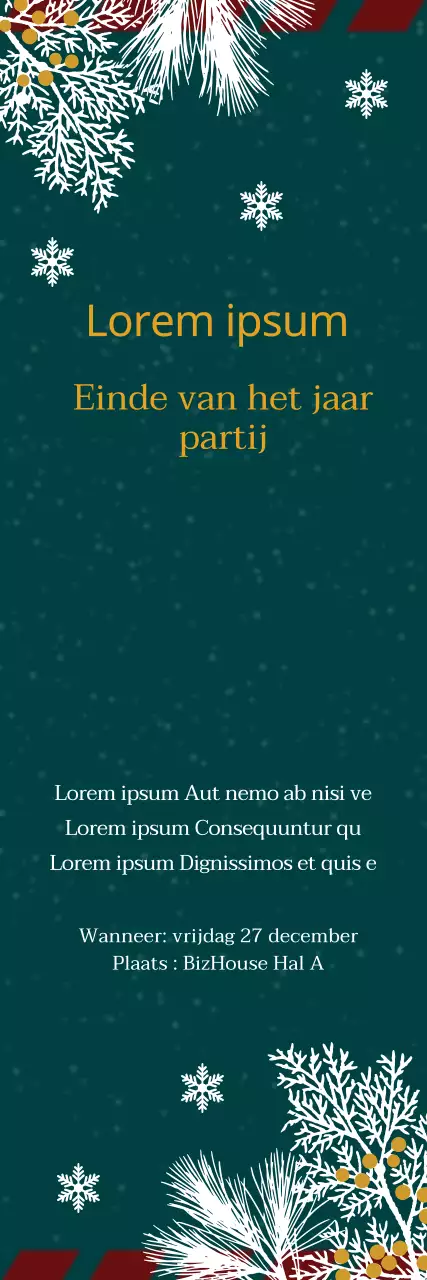 42213_EINDEJAARSFEEST