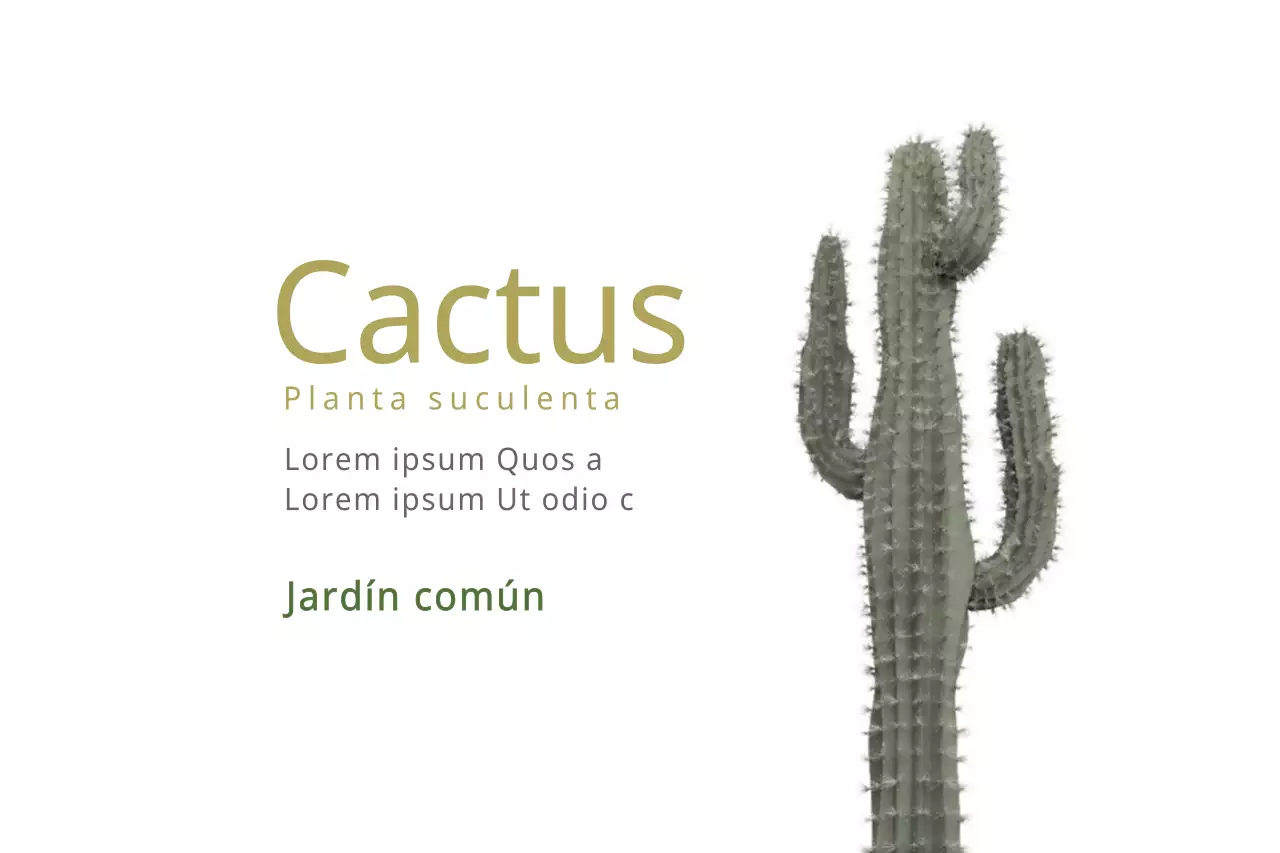 Cactus