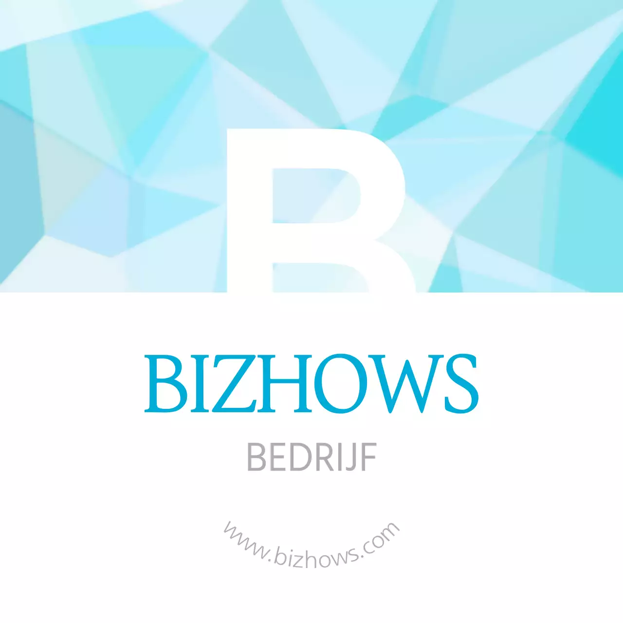 BIZHOWS