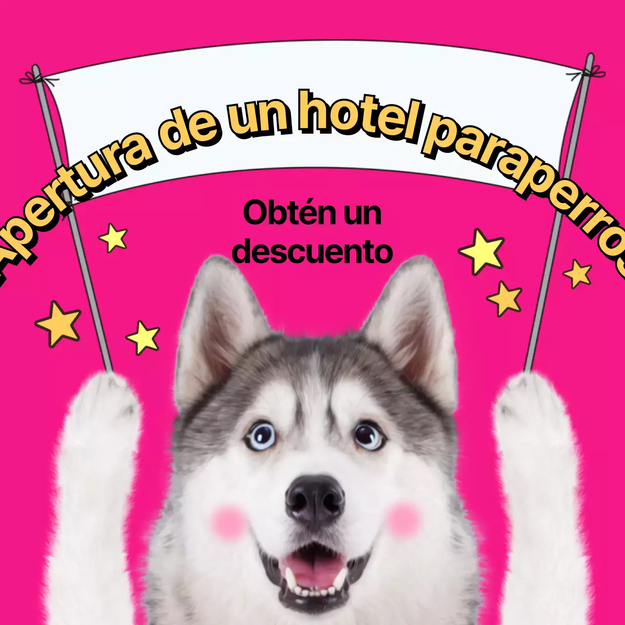 Hoteles para perros