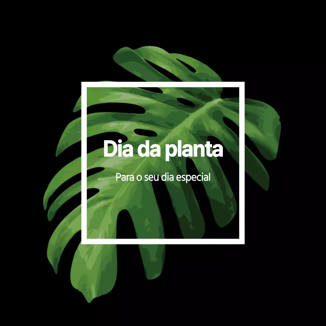 Plantas