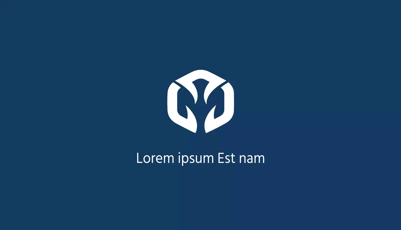 Distribución BizGlobal