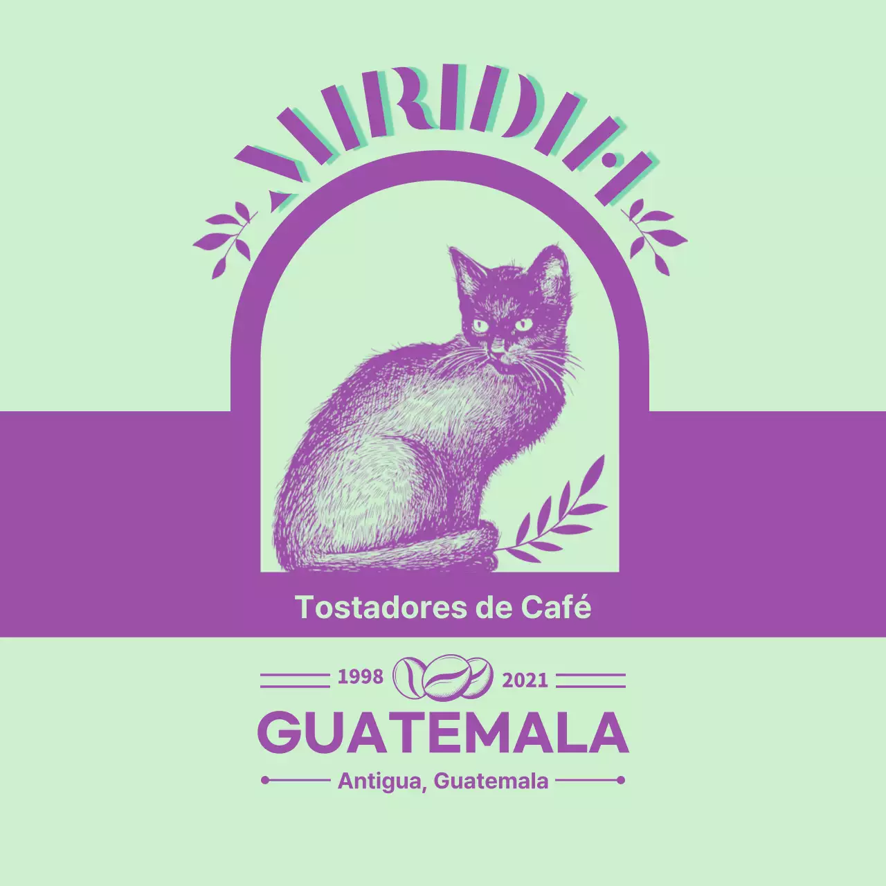 Guía de marcas y granos de café con un diseño tipográfico en verde lima y morado3