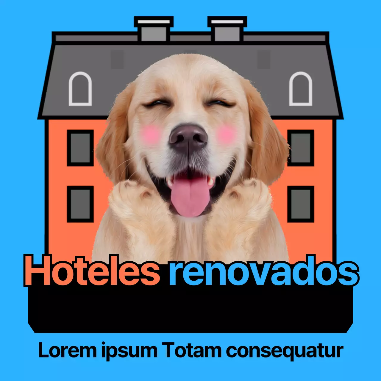 Hoteles para perros