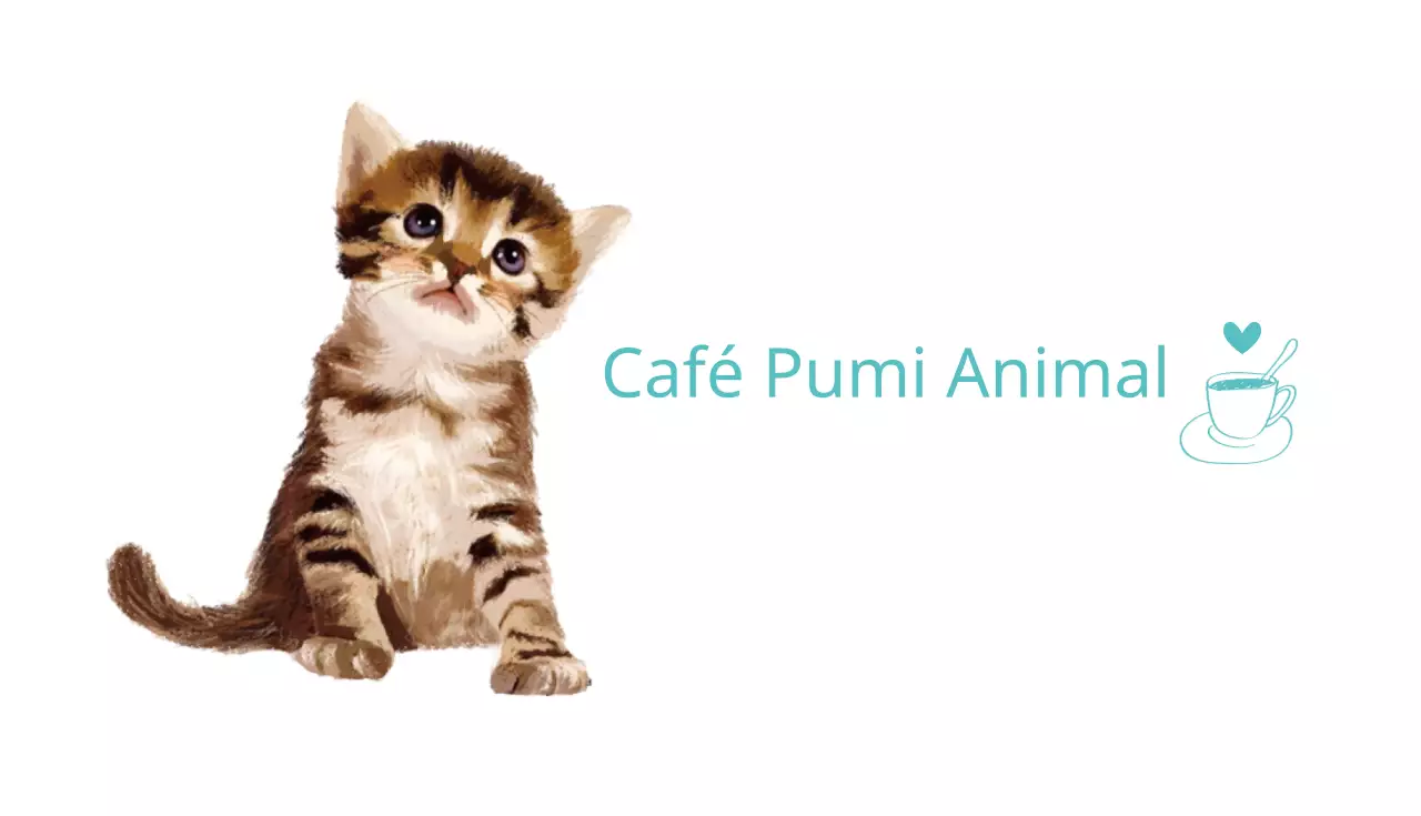 Fumi Animal Café