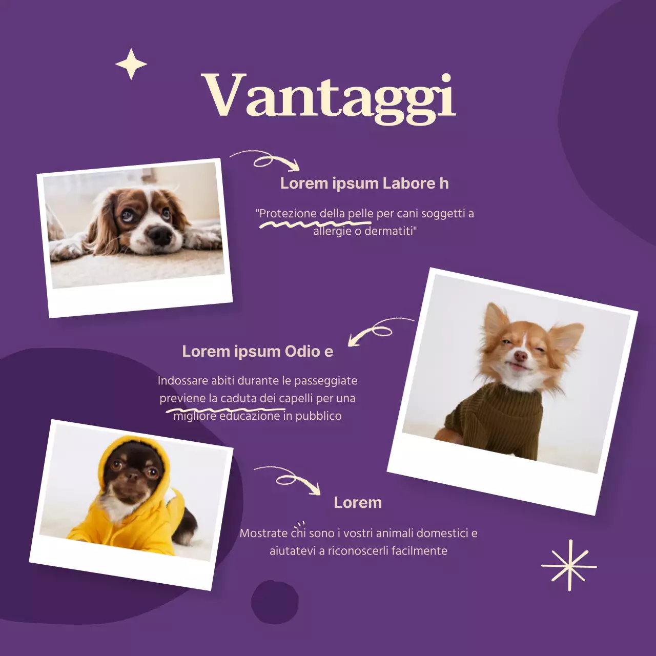 Vestiti per cani dai colori vivaci