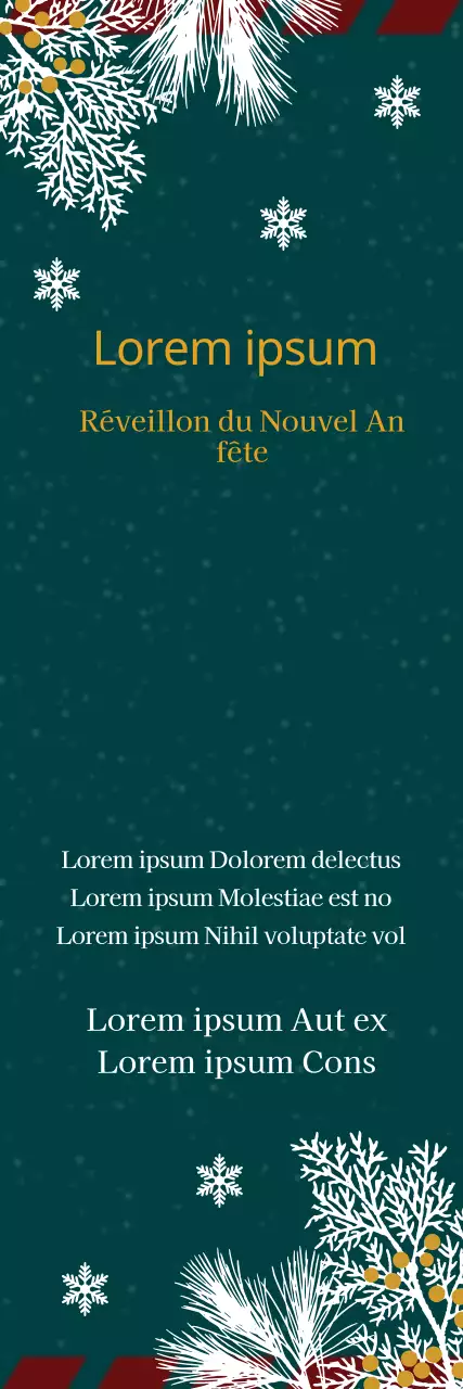 42213_FÊTE DE FIN D'ANNÉE