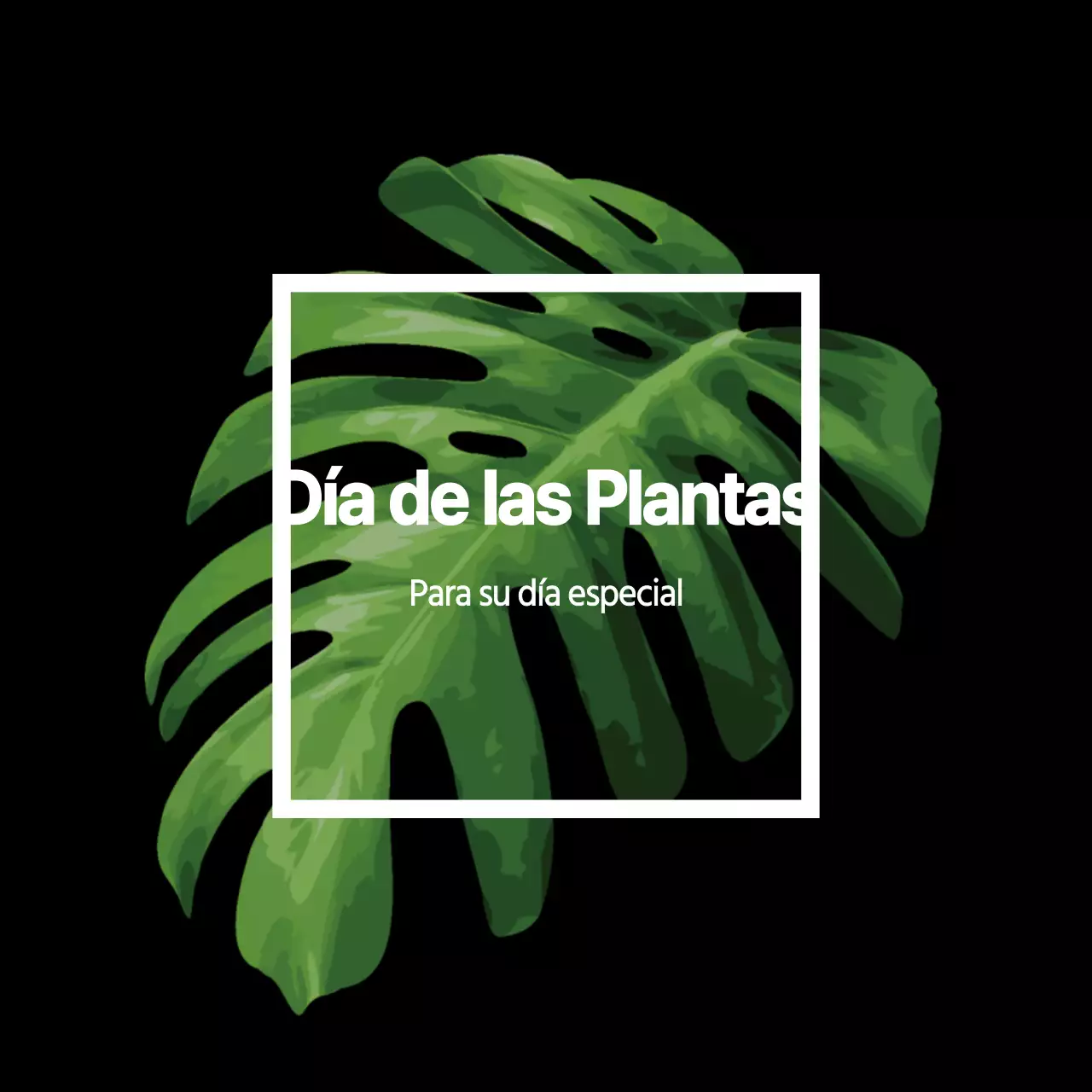 Plantas