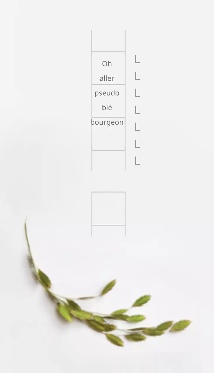 Cosmétiques naturels