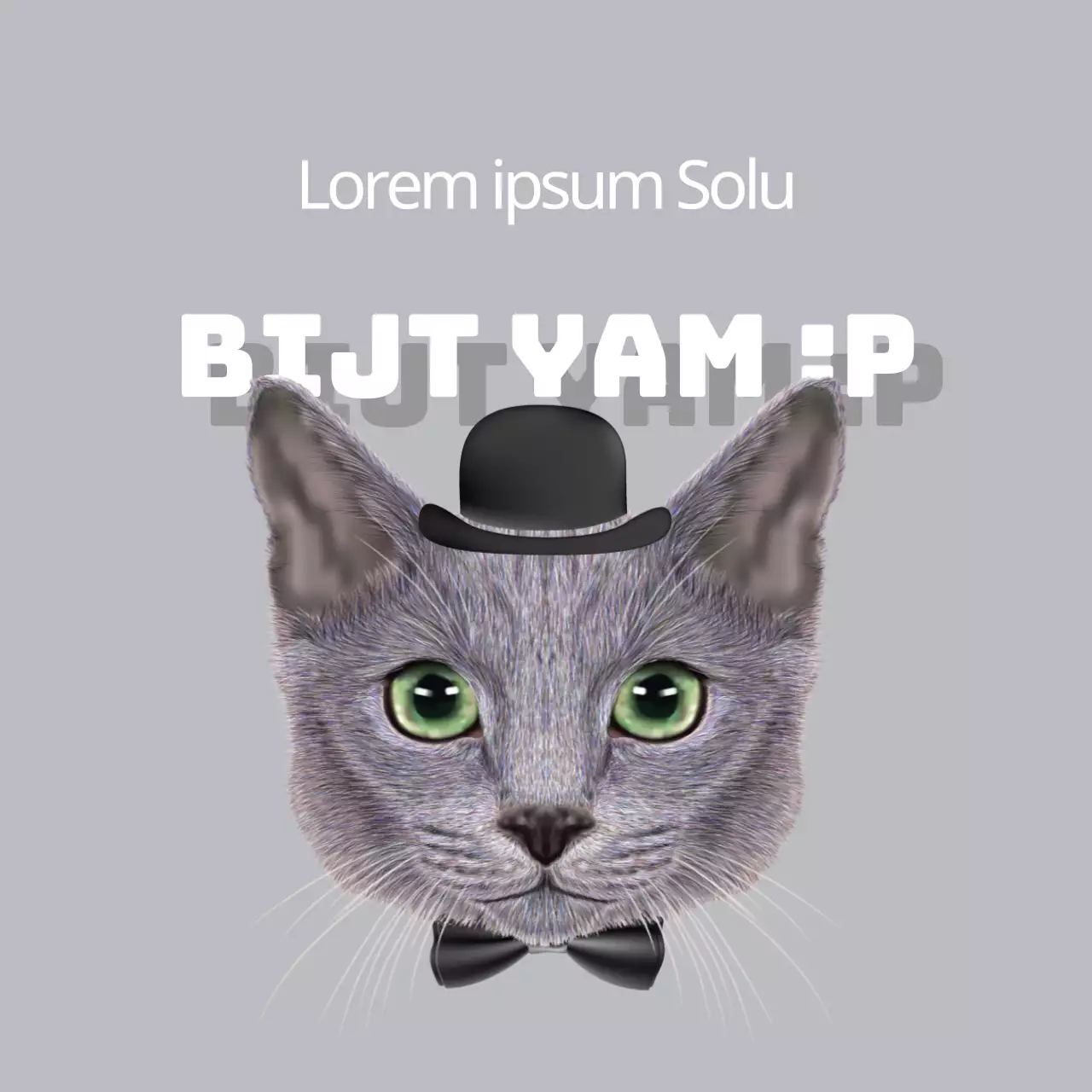 Premium biologische hondensnacks