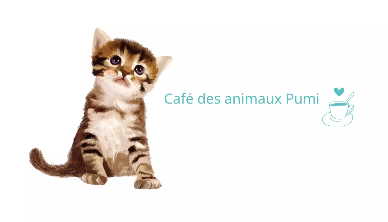 Fumi Animal Café