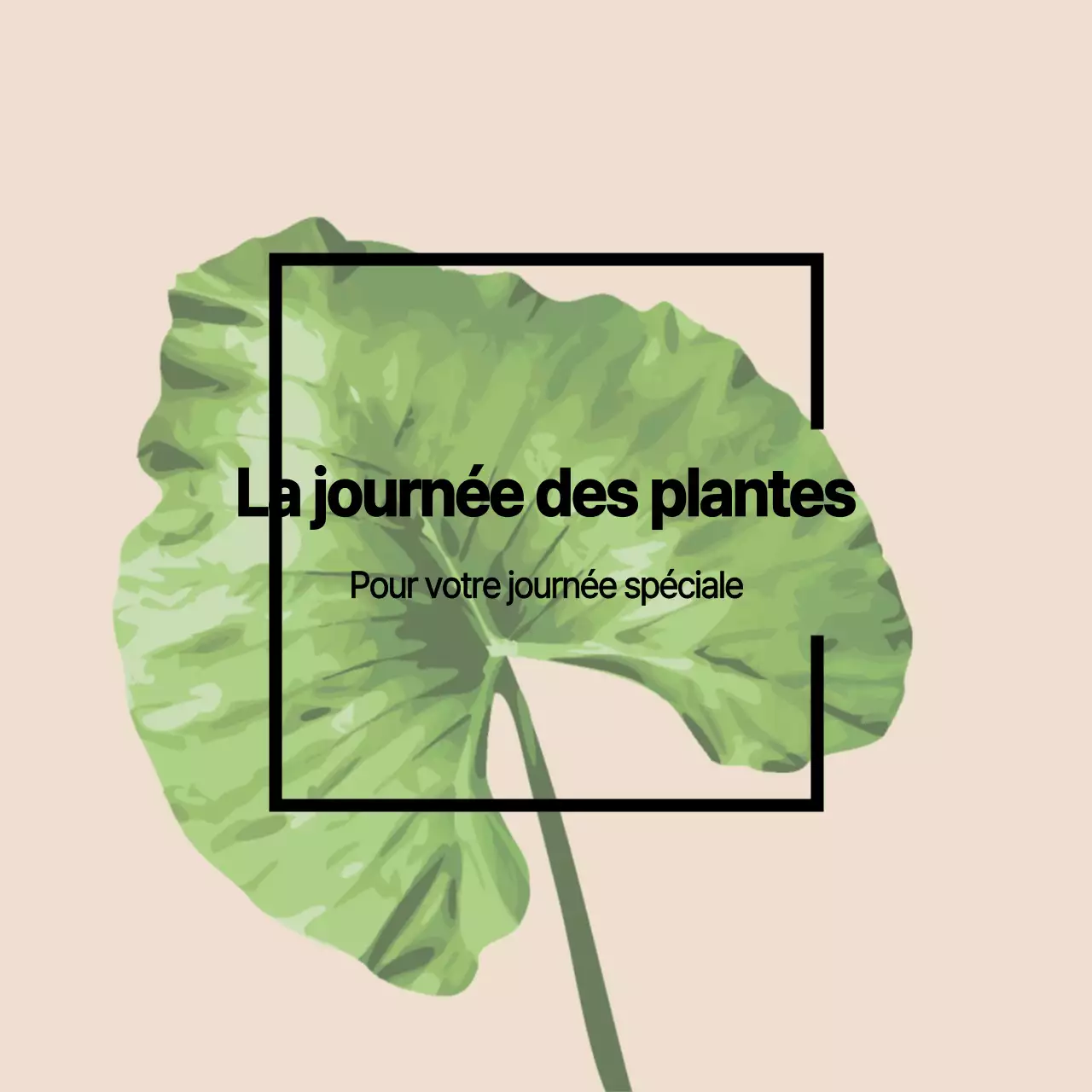 Plantes