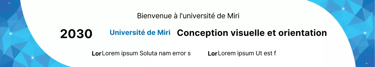 43125_Université Otti